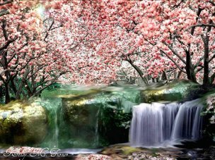 美国美术 佚名 2860507[风景] 