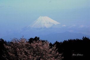 美国美术 佚名 2743684[风景]