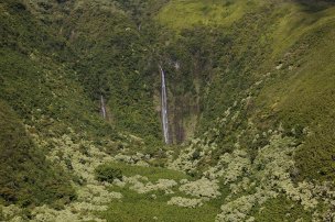 美国美术 佚名 3386518[风景]