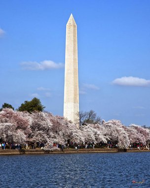 美国美术 佚名 3312747[风景] 