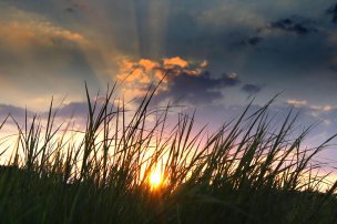 美国美术 佚名 3292637[风景]