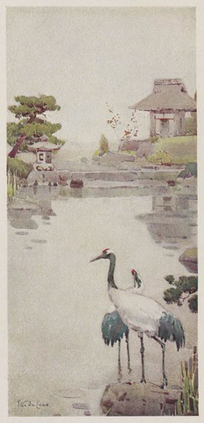 美国美术 佚名 317590[版画]