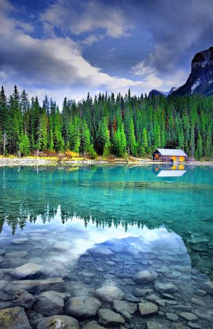 美国美术 佚名 2584412[风景]