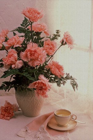 美国美术 佚名 2493262[花卉]