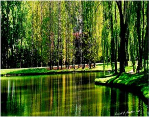 美国美术 佚名 2377341[风景]