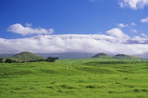 美国美术 佚名 2061089[风景] 