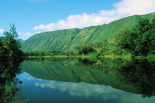 美国美术 佚名 2012875[风景] 