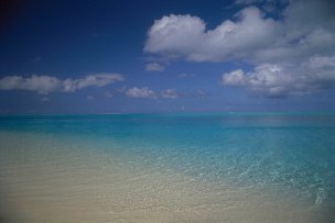 美国美术 佚名 2005735[风景]