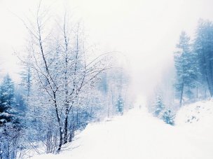 美国美术 佚名 1449535[风景]