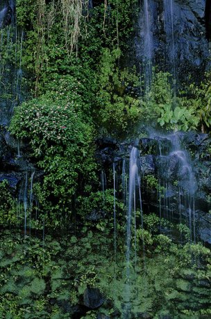美国美术 佚名 1378046[风景]