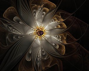 美国美术 佚名 188580[意向]