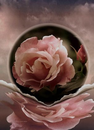 美国美术 佚名 189089[花卉]