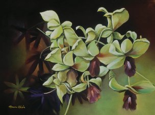 美国美术 佚名 1366165[植物]