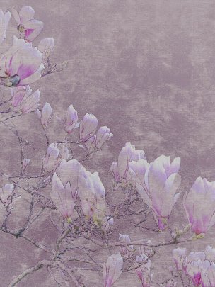 美国美术 佚名 1366273[花卉]