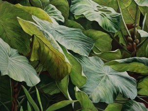 美国美术 佚名 1366136[植物]