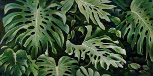 美国美术 佚名 1366143[植物]