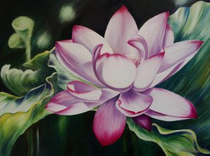 美国美术 佚名 1362607[花卉]