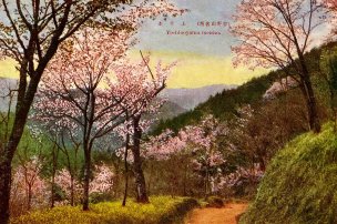美国美术 佚名 1362470[风景]