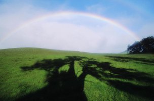 美国美术 佚名 1362214[风景]