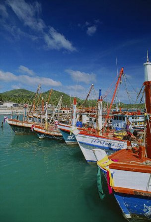 美国美术 佚名 1354473[风景]
