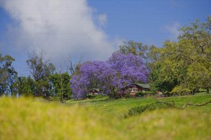 美国美术 佚名 1361871[风景]
