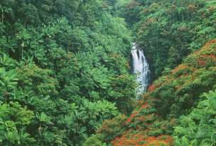 美国美术 佚名 1343180[风景] 