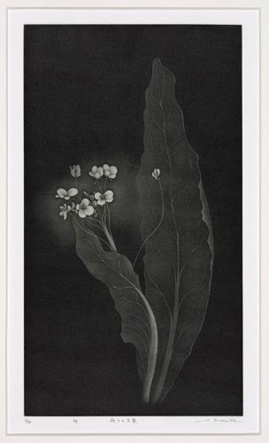 美国美术 佚名 130350[版画]