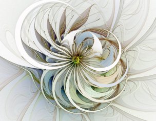 美国美术 佚名 129826[意向]