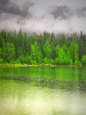 美国美术 佚名 1298664[风景]