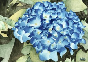 美国美术 佚名 1199856[蝴蝶]
