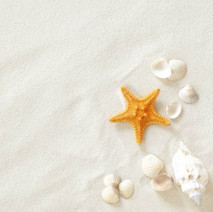 风景摄影 佚名 贝壳 (33)[贝壳] 
