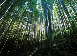 风景摄影 佚名 自然风光 (33)[自然风光] 