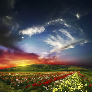 风景摄影 佚名 夕阳景观 (99)[夕阳景观] 