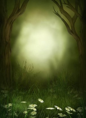 风景摄影 佚名 唯美合成背景 (86)[唯美合成背景