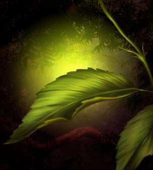 风景摄影 佚名 唯美合成背景 (83)[唯美合成背景