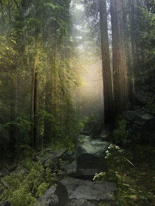 风景摄影 佚名 唯美合成背景 (5)[唯美合成背景