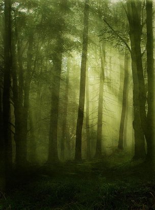 风景摄影 佚名 唯美合成背景 (35)[唯美合成背景