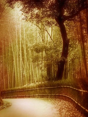 风景摄影 佚名 唯美合成背景 (266)[唯美合成背景