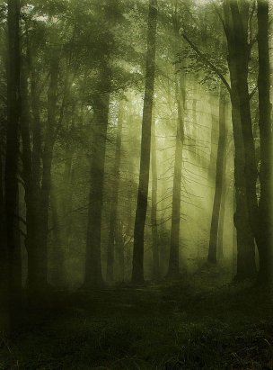 风景摄影 佚名 唯美合成背景 (211)[唯美合成背景