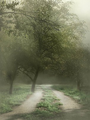 风景摄影 佚名 唯美合成背景 (191)[唯美合成背景