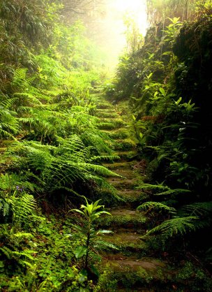 风景摄影 佚名 唯美合成背景 (184)[唯美合成背景