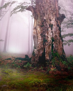 风景摄影 佚名 唯美合成背景 (216)[唯美合成背景