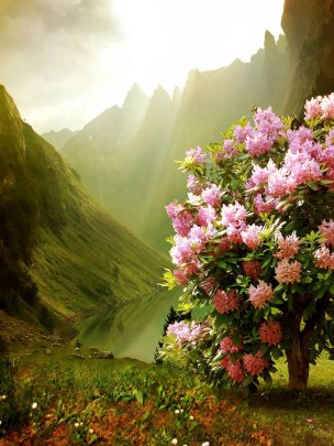 风景摄影 佚名 唯美合成背景 (172)[唯美合成背景