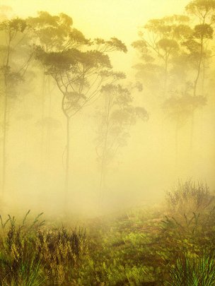 风景摄影 佚名 唯美合成背景 (173)[唯美合成背景