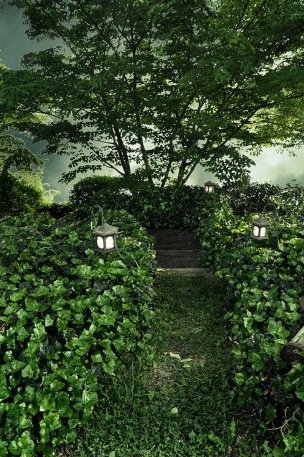 风景摄影 佚名 唯美合成背景 (1)[唯美合成背景